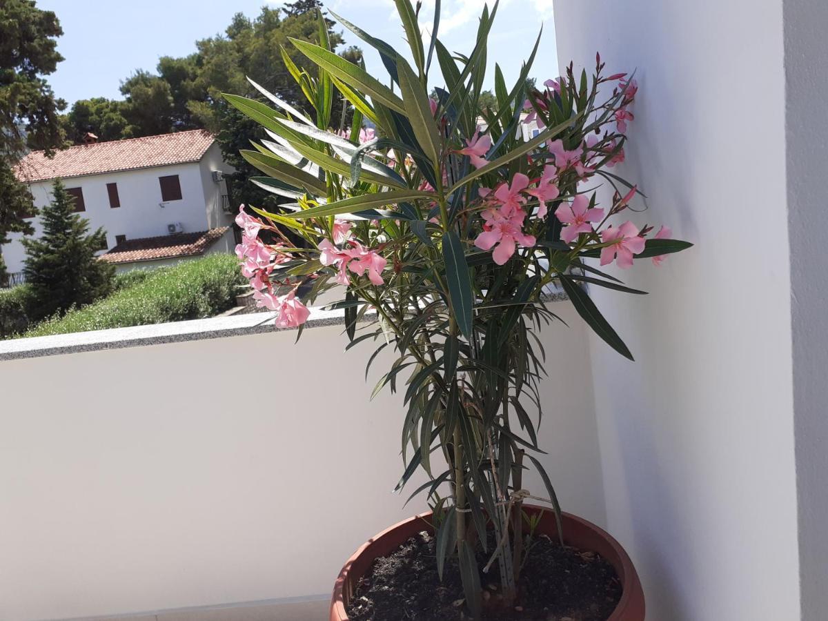 Apartmani Miletic Jelsa  Exterior foto